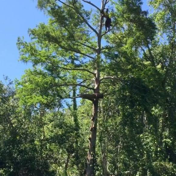 Meet your Posher, Josh - Picture 1 of 1